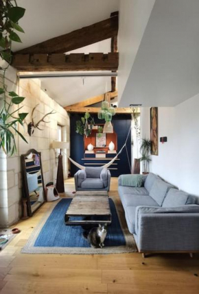 Duplex atypique et chaleureux, hyper centre